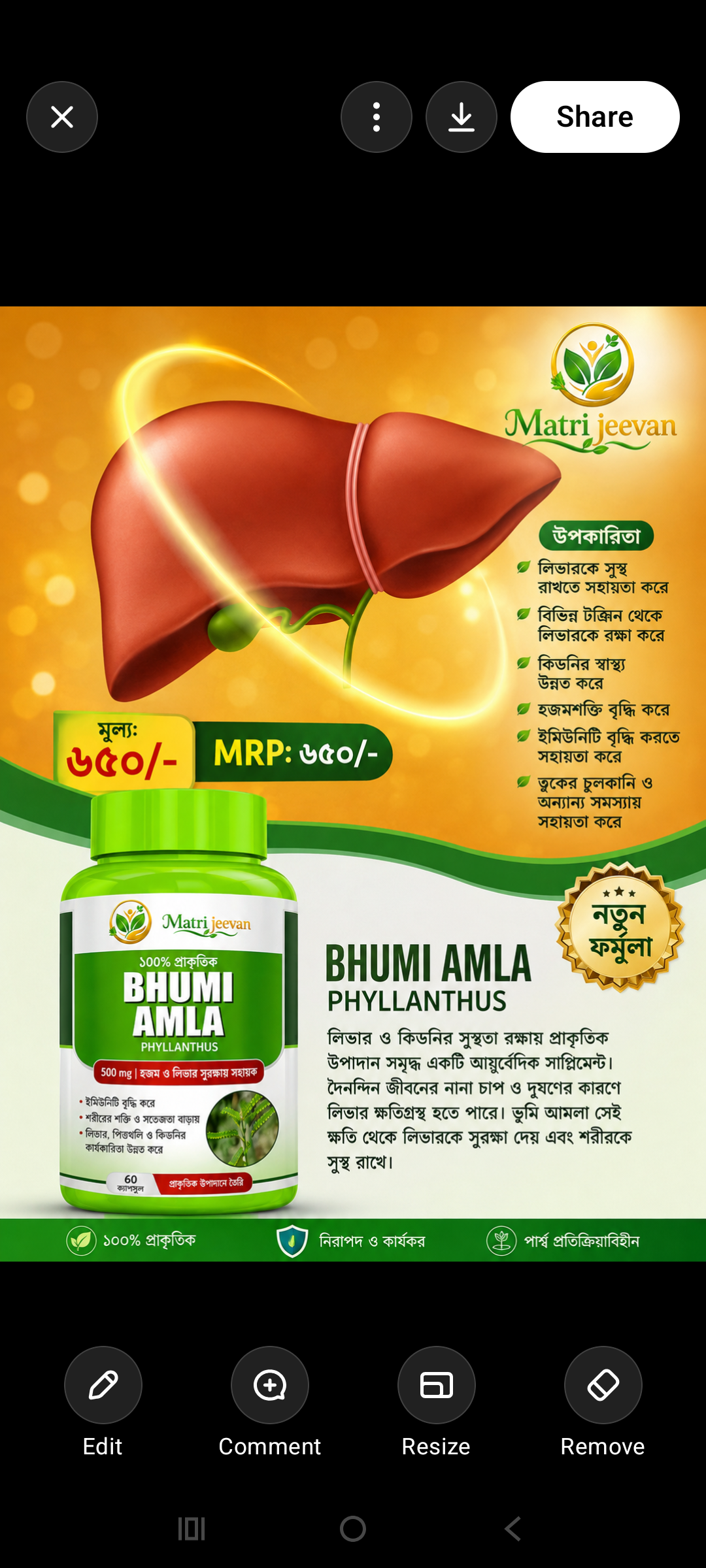 BHUMI AMLA